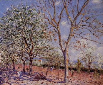 Alfred Sisley : Plum and Walnut Trees in Spring